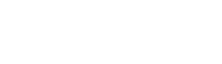 Wodzirej Xawier